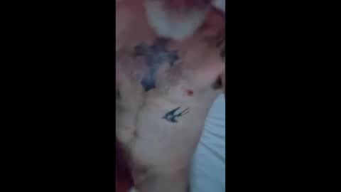 shaunhosking3 online show from 4, 3, 2026