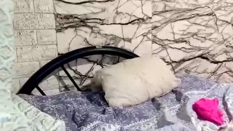 shayka09 online show from 23, 3, 2026