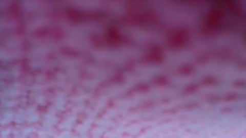 Snapshot of shelsyzevee_ chatting on 23, 10, 2025 shelsyzevee_ online show from 23, 10, 2025