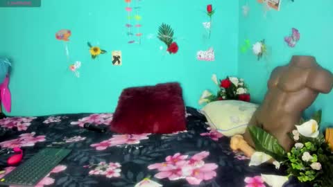 Shera Hade online show from 8, 3, 2026