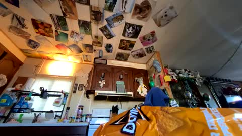 shorty920505 online show from 29, 9, 2025