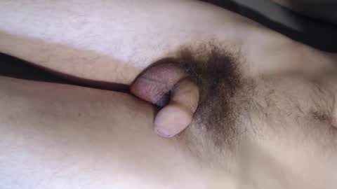 shototto online show from 2, 11, 2025