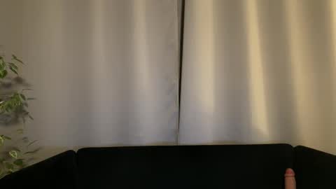 Amelia online show from 9, 12, 2024