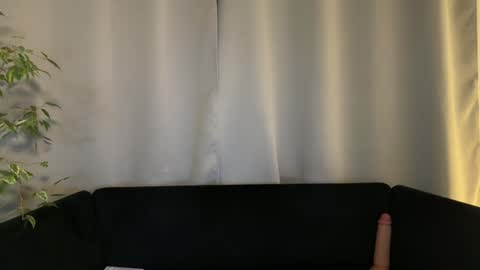 Amelia online show from 16, 12, 2024