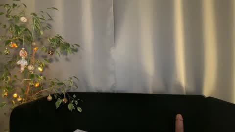 Amelia online show from 23, 12, 2024