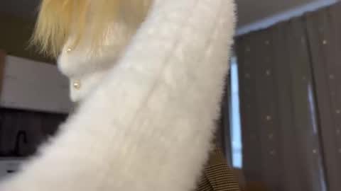 Aurora online show from 12, 10, 2025