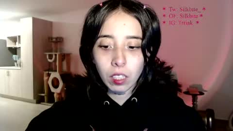 silkbite online show from 24, 7, 2026