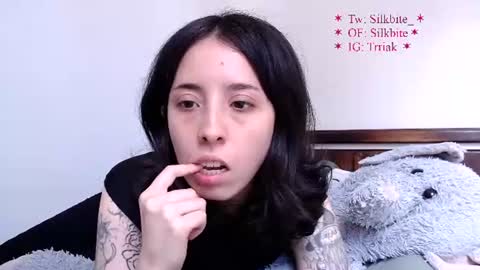 silkbite online show from 1, 8, 2026