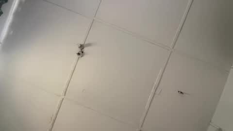 silkyandmasterr online show from 8, 3, 2026