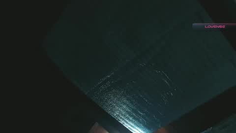 silvabranko online show from 27, 4, 2026