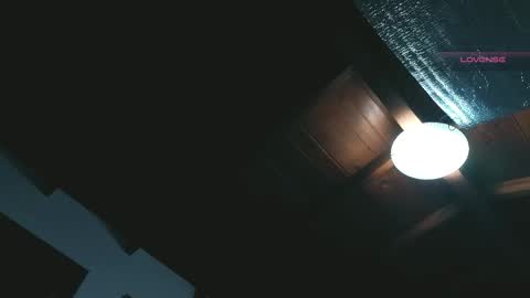 silvabranko online show from 28, 4, 2026