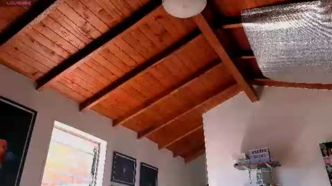 silvabranko online show from 22, 6, 2026