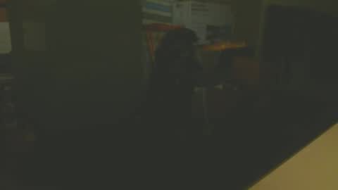 silvin76 online show from 6, 1, 2025