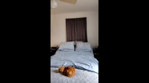 simplysarah1225 online show from 17, 2, 2026