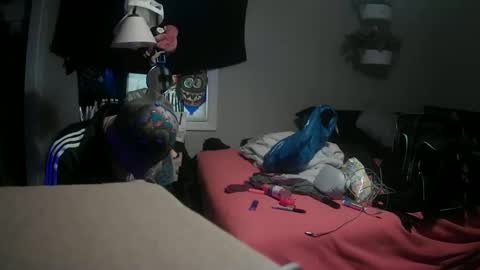 Danny skiff online show from 9, 3, 2025