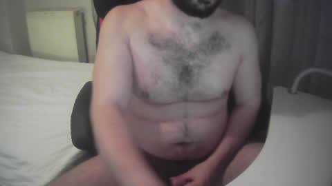 sissy_bear_ online show from 15, 5, 2026