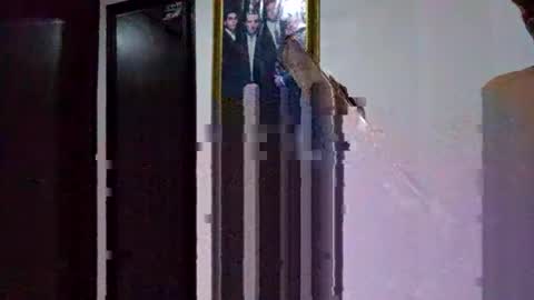 miguel online show from 9, 3, 2026