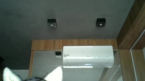 skinnykittencam online show from 3, 10, 2025