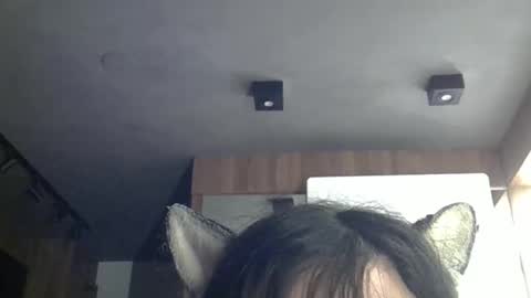 skinnykittencam online show from 12, 4, 2026