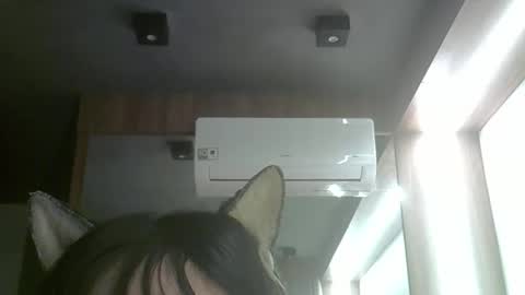 skinnykittencam online show from 3, 6, 2026