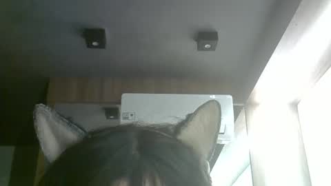 skinnykittencam online show from 5, 6, 2026