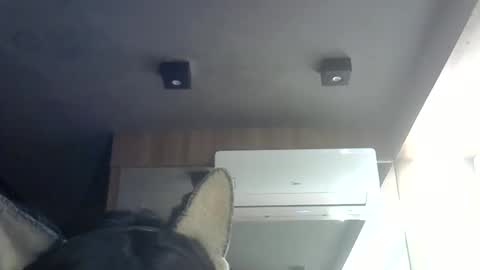 skinnykittencam online show from 8, 6, 2026