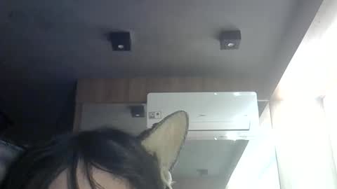 skinnykittencam online show from 11, 6, 2026