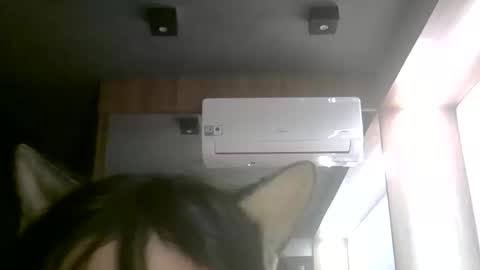 skinnykittencam online show from 11, 6, 2026