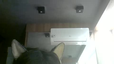 skinnykittencam online show from 11, 6, 2026