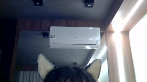 skinnykittencam online show from 26, 6, 2026