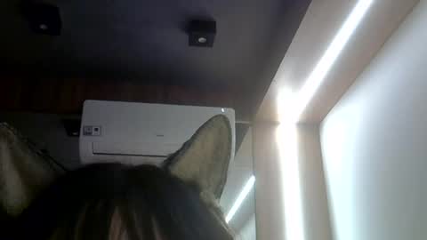 skinnykittencam online show from 23, 7, 2026