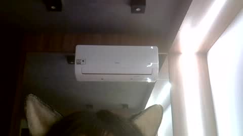 skinnykittencam online show from 25, 7, 2026