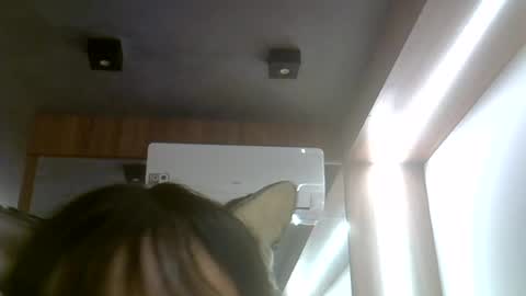skinnykittencam online show from 25, 7, 2026