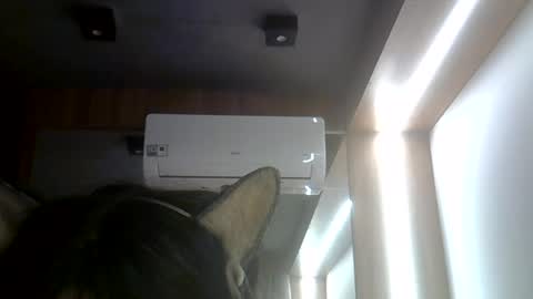 skinnykittencam online show from 26, 7, 2026