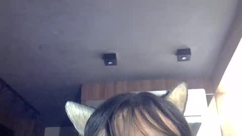 skinnykittencam online show from 27, 7, 2026