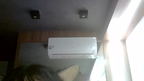 skinnykittencam online show from 28, 7, 2026