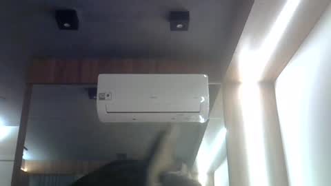 skinnykittencam online show from 28, 7, 2026