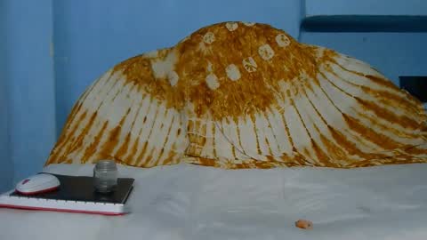 Indian online show from 10, 3, 2026