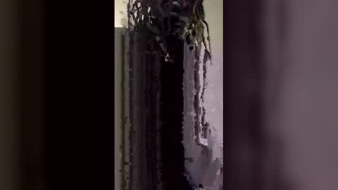 skooby1235 online show from 4, 2, 2026