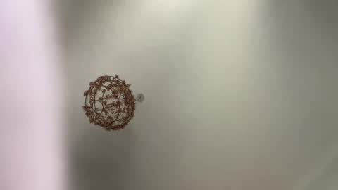 skuzzy25 online show from 3, 3, 2025