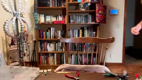 Sky Winters online show from 19, 2, 2025