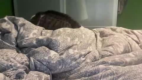 Snapshot of slice5 chatting on 21, 12, 2025 slice5 online show from 21, 12, 2025