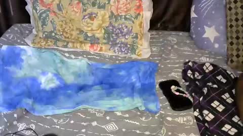 slim_me online show from 7, 5, 2026