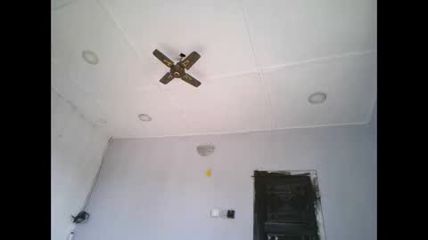 Slim online show from 8, 3, 2026