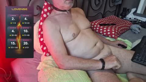 Slotos online show from 24, 6, 2026