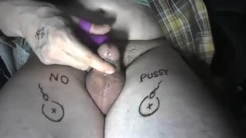 pussyfree4eva online show from 8, 12, 2024