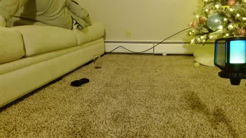 Smexy online show from 9, 12, 2024