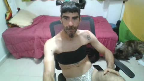 willy online show from 3, 8, 2026