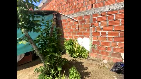 Smith  online show from 8, 12, 2024