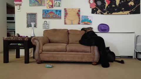 Big Dawg online show from 26, 7, 2026